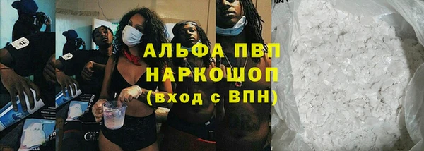 spice Белокуриха