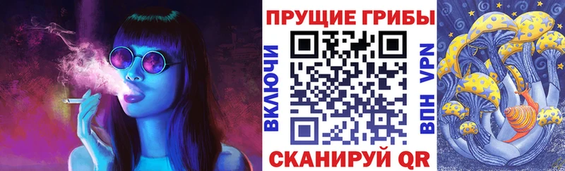 мега   Борзя  Псилоцибиновые грибы Psilocybine cubensis 